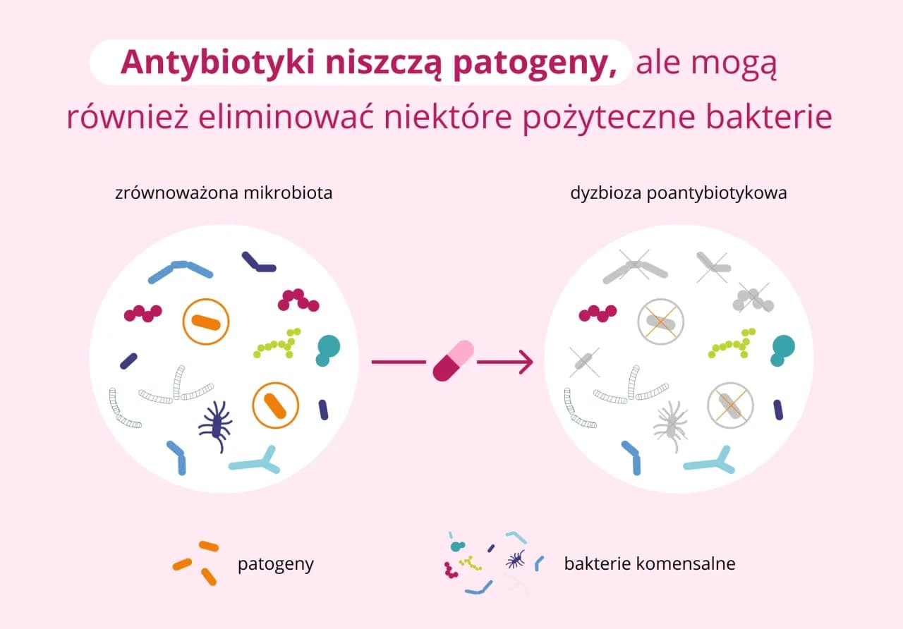 Jak zażywać probiotyk, by działał? Kluczowe zasady i błędy